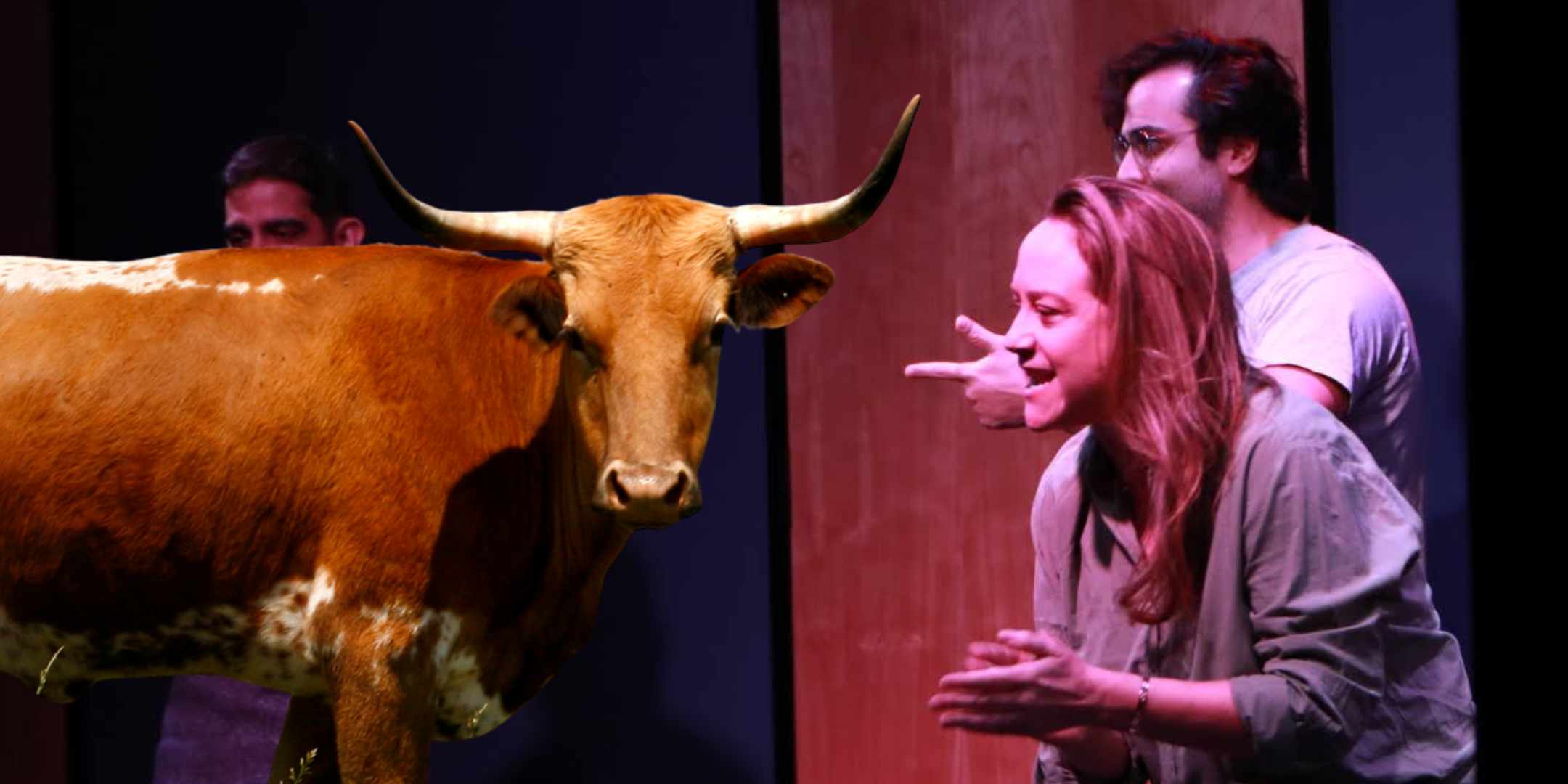 Houston's Laughingstock Show - Rodeo Improv • Station Theater - Live ...